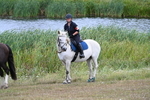 WJ7_6200