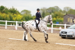 SBM_005927