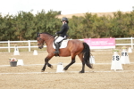 SBM_010942