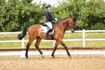 SBM_005213