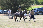 WJ6_7952