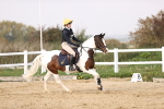 SBM_003241