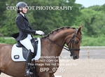 BPP_0736