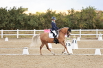 SBM_004313
