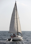 090919 PICK POCKET IMG_7710
