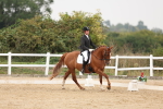 SBM_01554