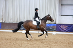 SBM_003228