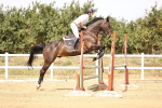 SBM_001241