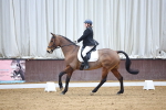 SBM_006906