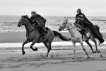 equiscot 8746