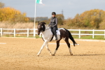 SBM_001709