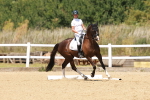 SBM_022255