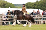 SBM_06161