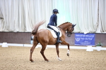 SBM_008138