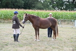 Class 20 In-hand Cob portfolio