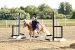 SBM_006213
