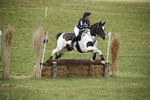 BVHT 140517  NXC -45