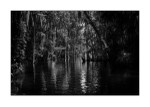 Lake County - Dora Canal