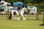 SBM_06366