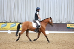 SBM_007462