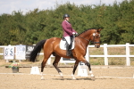 SBM_009775