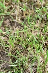 SBM_00053