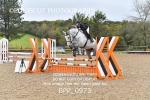 BPP_0973