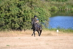 WJ6_6754