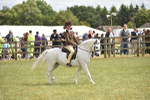 SBM_15914