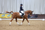 SBM_002623
