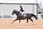 BPP_0343
