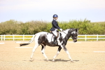 SBM_007949