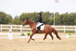 SBM_000966