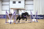 SBM_000291