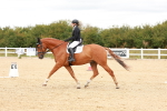 SBM_001893