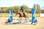 SBM_000686