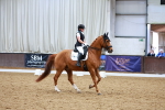 SBM_003698