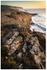 Evening Light on the Cliffs, Loop head, Co Clare