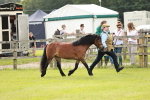 SBM_00454