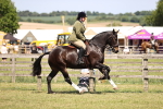 SBM_17844