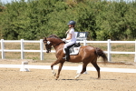 SBM_002553