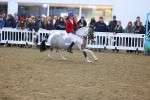 SBM_004037