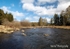 Galloway Forest