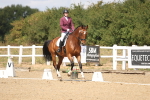 SBM_009769