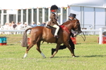 JPP_1652