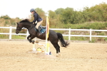 SBM_007600