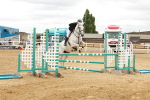 SBM_002006