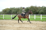 LAD_2231