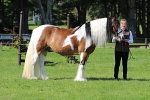 SIAL6167