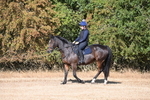 WJ6_6905